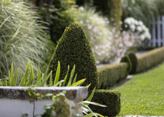 Clarisse & By Olivier Claire فندق