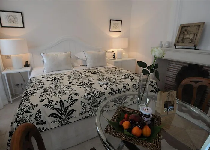 Clarisse & By Olivier Claire 5* سان مارتن دو ر